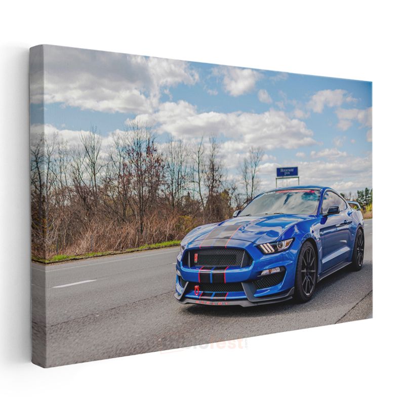 Ford Mustang Shelby GT350 - Mavi Yarış Şeritleri Spor Otomobil Kanvas Tablo