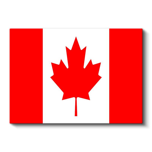 Kamerun Bayrağı - Kanvas Tablo