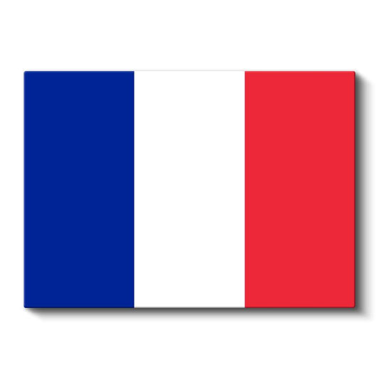 Fransa Bayrağı - Kanvas Tablo