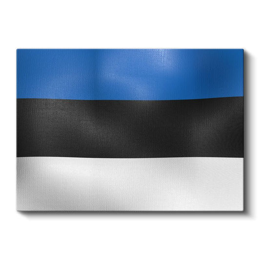 Estonya Bayrağı - Dalgalı Görünüm Kanvas Tablo