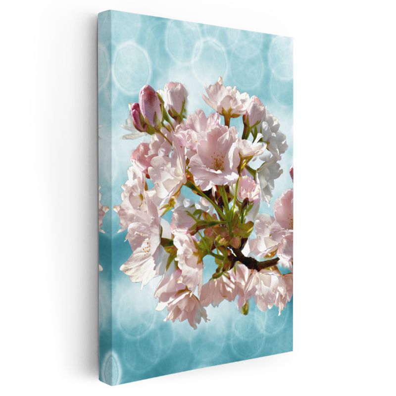 Kiraz Çiçekleri - Turkuaz Fonda Bahar Dalı Kanvas Tablo
