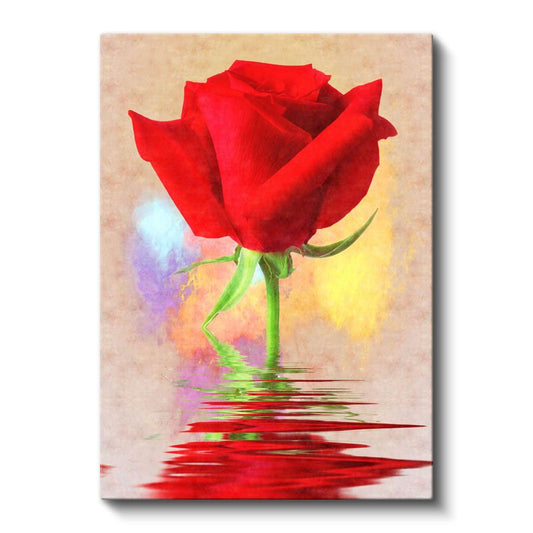 Kırmızı Gül Yansıması - Su Üzerinde Çiçek Kanvas Tablo