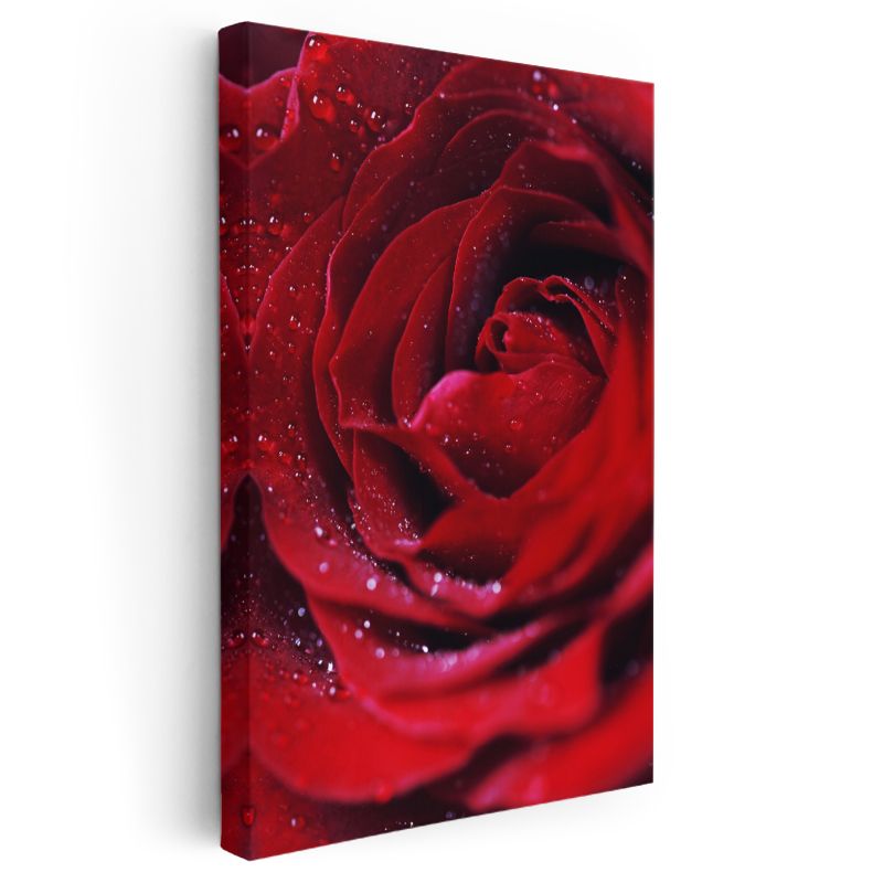 Kırmızı Gül - Çiğ Damlacıklı Kadife Dokulu Kanvas Tablo