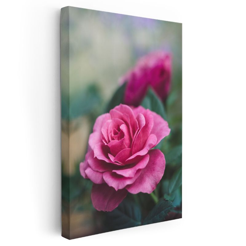 Pembe Gül - Romantik Çiçek Portresi Kanvas Tablo