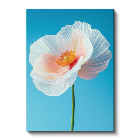 Beyaz Gelincik - Mavi Fon Üzerinde Zarif Çiçek Kanvas Tablo