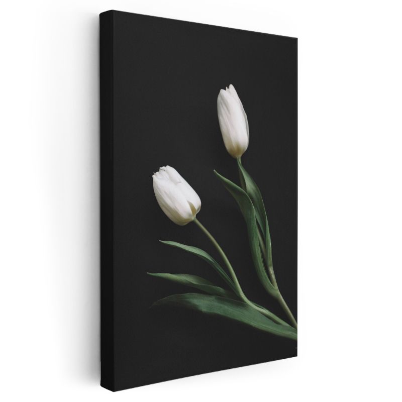 Beyaz Laleler - Siyah Fonda Minimalist Çiçek İkilisi Kanvas Tablo