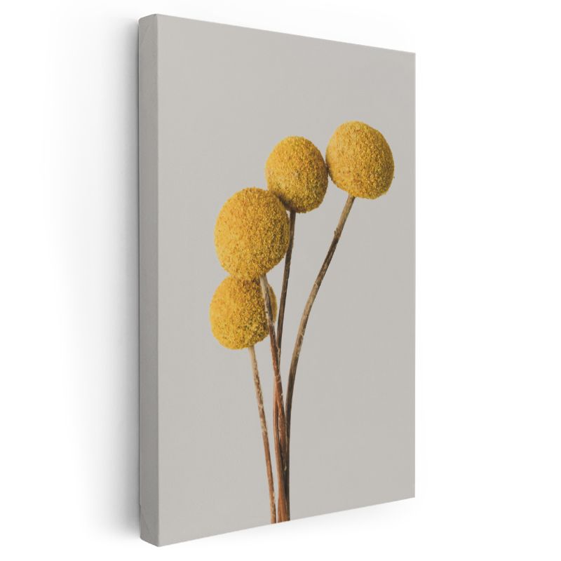 Minimalist Krizantem - Modern Sarı Yuvarlak Çiçek Kanvas Tablo
