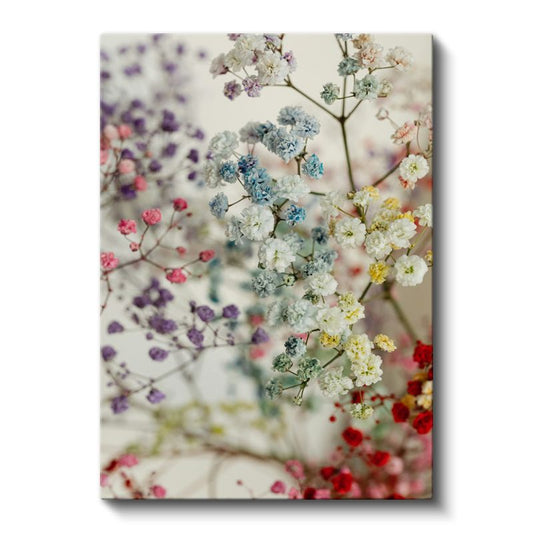 Pastel Cipsofilya - Romantik Narin Çiçekler Kanvas Tablo