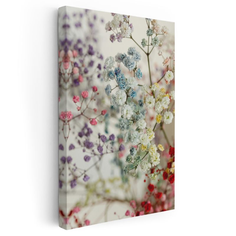 Pastel Cipsofilya - Romantik Narin Çiçekler Kanvas Tablo