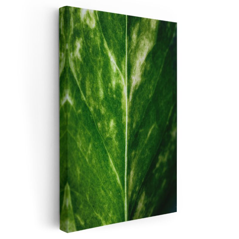 Zümrüt Yaprak Dokusu - Minimal Botanik Detay Kanvas Tablo