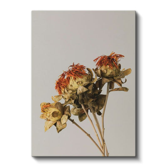 Kurumuş Çiçekler - Nostaljik Turuncu Detaylı Botanik Kanvas Tablo