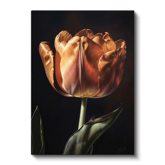 Amber Lale - Dramatik Siyah Fonlu Çiçek Portresi Kanvas Tablo