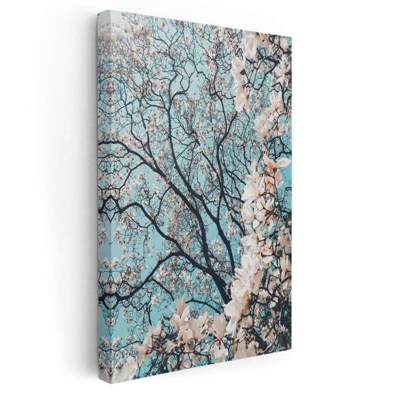 Bahar Dalları - Turkuaz Gökyüzünde Beyaz Çiçekler Kanvas Tablo