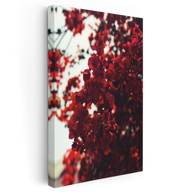 Kızıl Begonvil - Doğal Fotoğraf Çiçek Dalları Kanvas Tablo