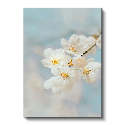 Bahar Çiçekleri - Mavi Gökyüzünde Beyaz Kiraz Çiçekleri Kanvas Tablo