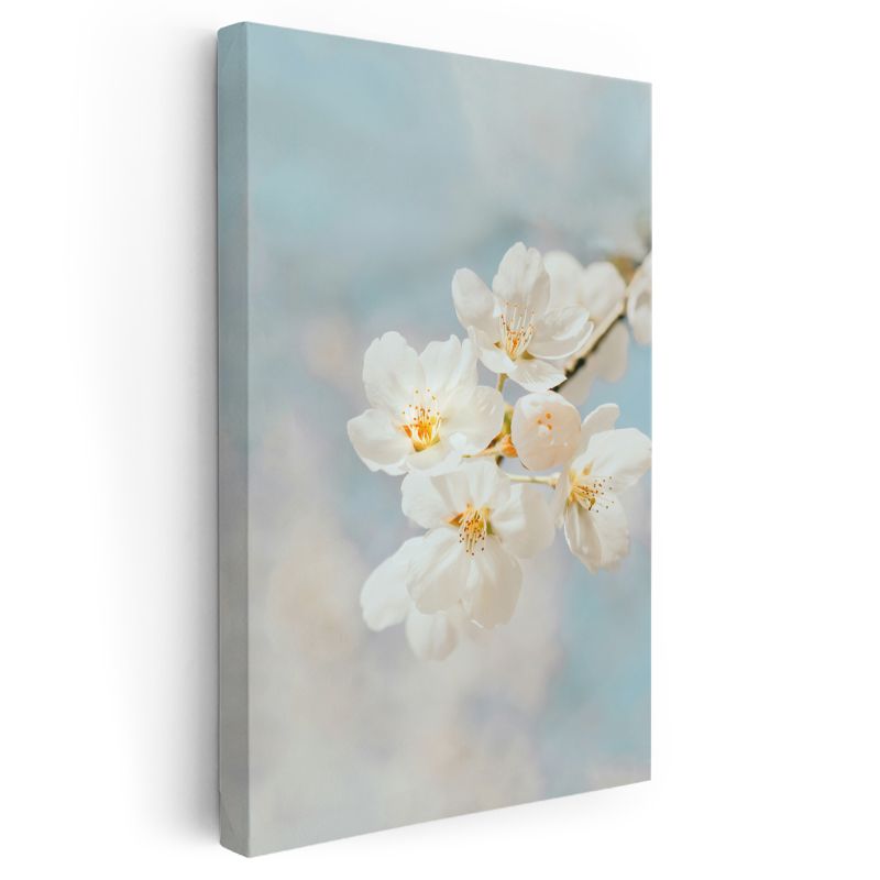 Bahar Çiçekleri - Mavi Gökyüzünde Beyaz Kiraz Çiçekleri Kanvas Tablo