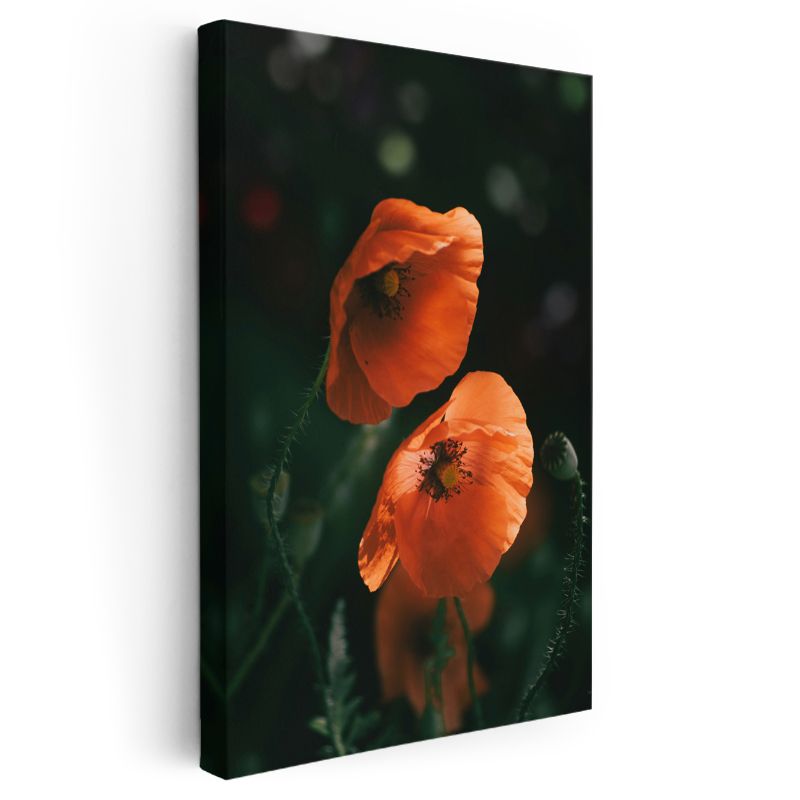 Turuncu Gelincikler - Koyu Zeminde Parlak Haşhaş Çiçekleri Kanvas Tablo