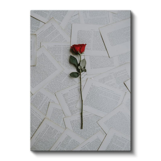 Edebiyat Gülü - Kitap Sayfaları Üzerinde Kırmızı Gül Kanvas Tablo