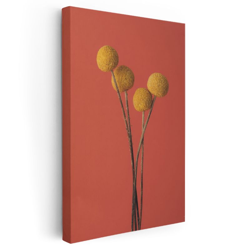 Altın Craspedia - Turuncu Arka Planda Sarı Top Çiçekler Kanvas Tablo