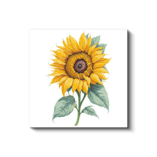 Klasik Ayçiçeği - Canlı Detaylı Botanik İllüstrasyon Kanvas Tablo