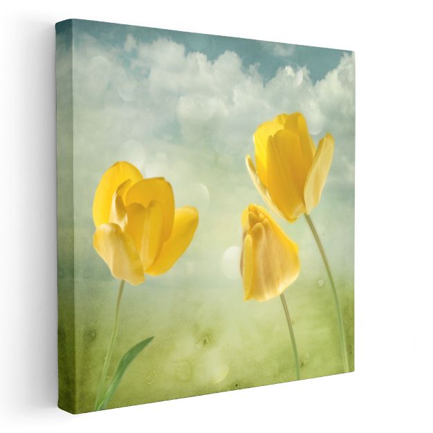 Sarı Laleler - Bulutlu Gökyüzü Altında Bahar Çiçekleri Kanvas Tablo