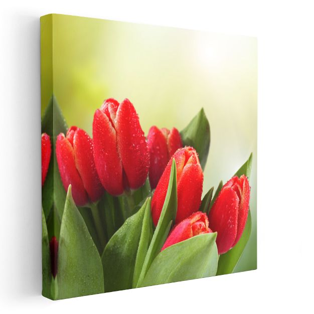 Lale Buketi - Yeşil Yapraklar Arasında Kırmızı Çiçekler Kanvas Tablo