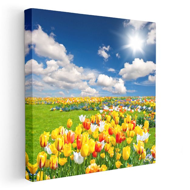 Lale Bahçesi - Mavi Gökyüzü Altında Renkli Çiçek Tarlası Kanvas Tablo