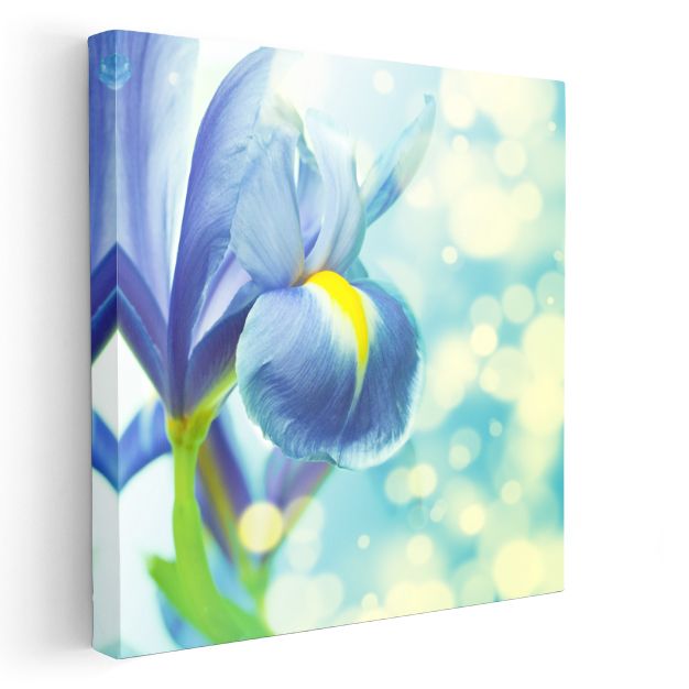Mavi İris - Işıltılı Fonda Zarif Çiçek Portresi Kanvas Tablo