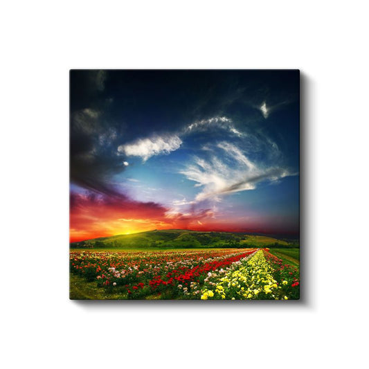 Çiçek Tarlası Manzarası - Gün Batımında Renkli Çiçekler Kanvas Tablo