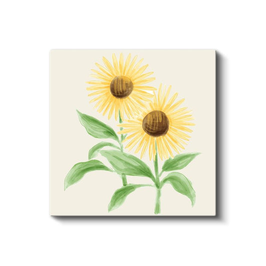 Suluboya Ayçiçekleri - Krem Fonda Minimalist Çiçek İllüstrasyonu Kanvas Tablo