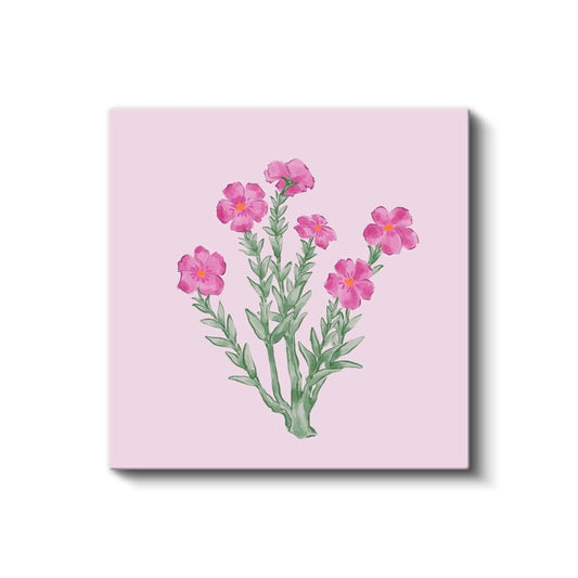 Pembe Çiçekler - Pastel Fonda Zarif Botanik İllüstrasyon Kanvas Tablo