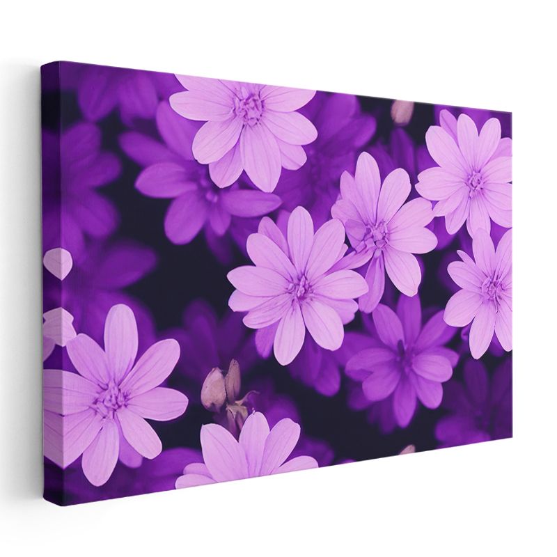 Mor Çiçek Bahçesi - Koyu Fonda Canlı Çiçek Portresi Kanvas Tablo