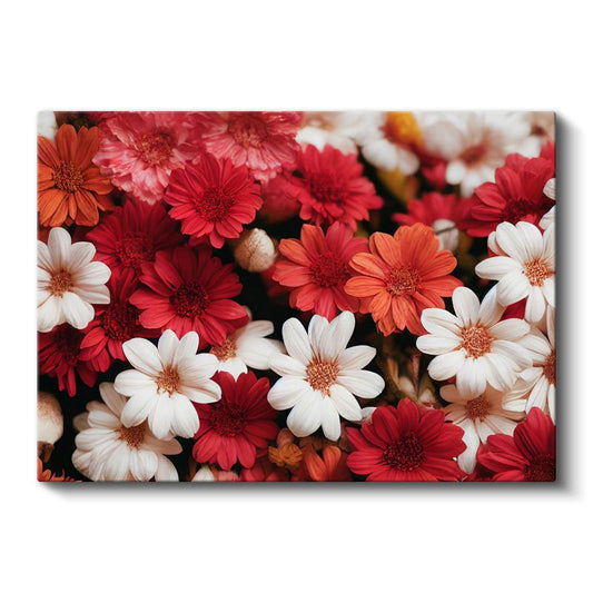 Renkli Papatyalar - Canlı Çiçek Aranjmanı Kanvas Tablo