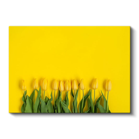 Sarı Laleler - Minimalist Çiçek Kompozisyonu Kanvas Tablo