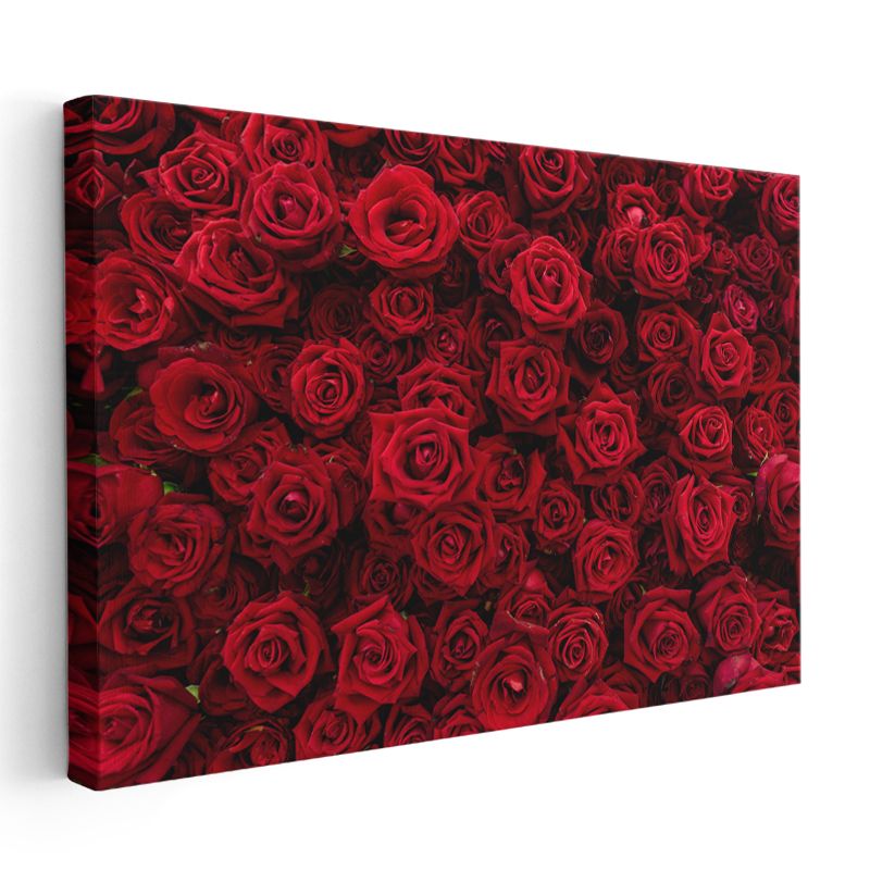 Kırmızı Gül Denizi - Kadife Dokulu Çiçek Kolajı Kanvas Tablo