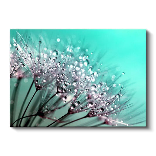 Turkuaz Karahindiba - Çiy Damlacıklı Narin Çiçek Silüeti Kanvas Tablo