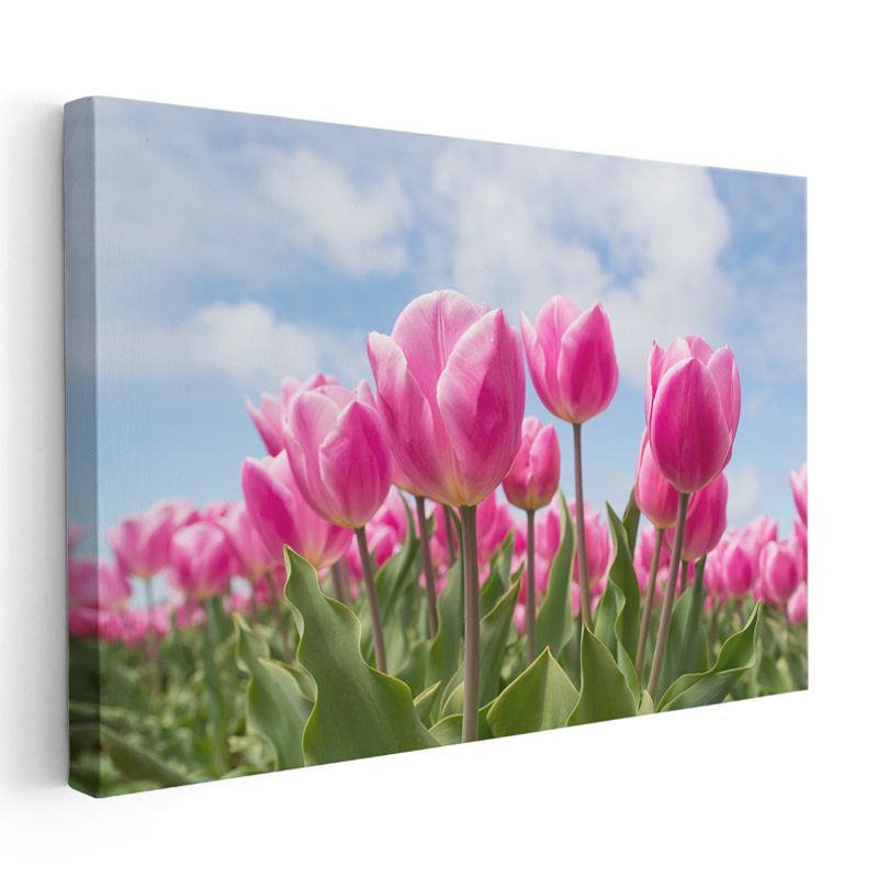 Pembe Lale Tarlası - Mavi Gökyüzü Altında Bahar Çiçekleri Kanvas Tablo