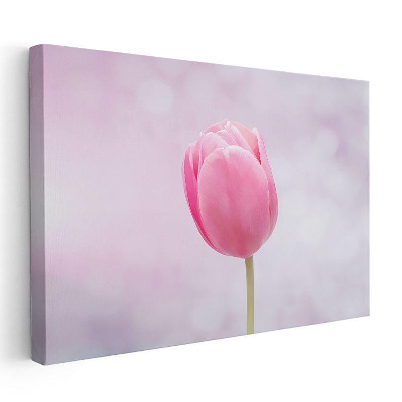 Ateş Kadife Çiçekleri - Dramatik Fonda Turuncu Bahçe Kompozisyonu Kanvas Tablo