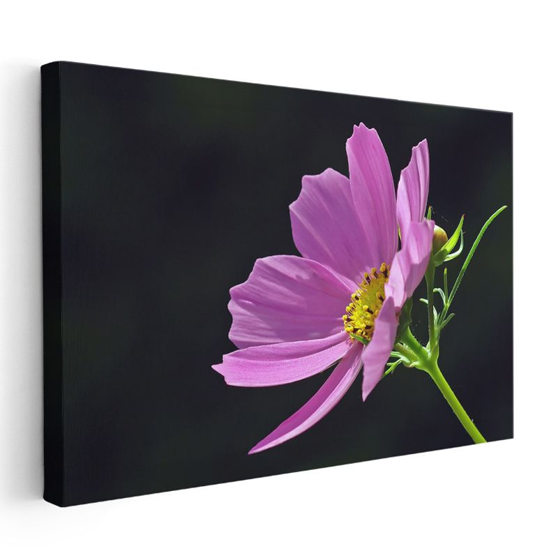 Mavi Gökyüzü Altında Ayçiçekleri - Parlak Sarı Çiçek Tarlası Kanvas Tablo