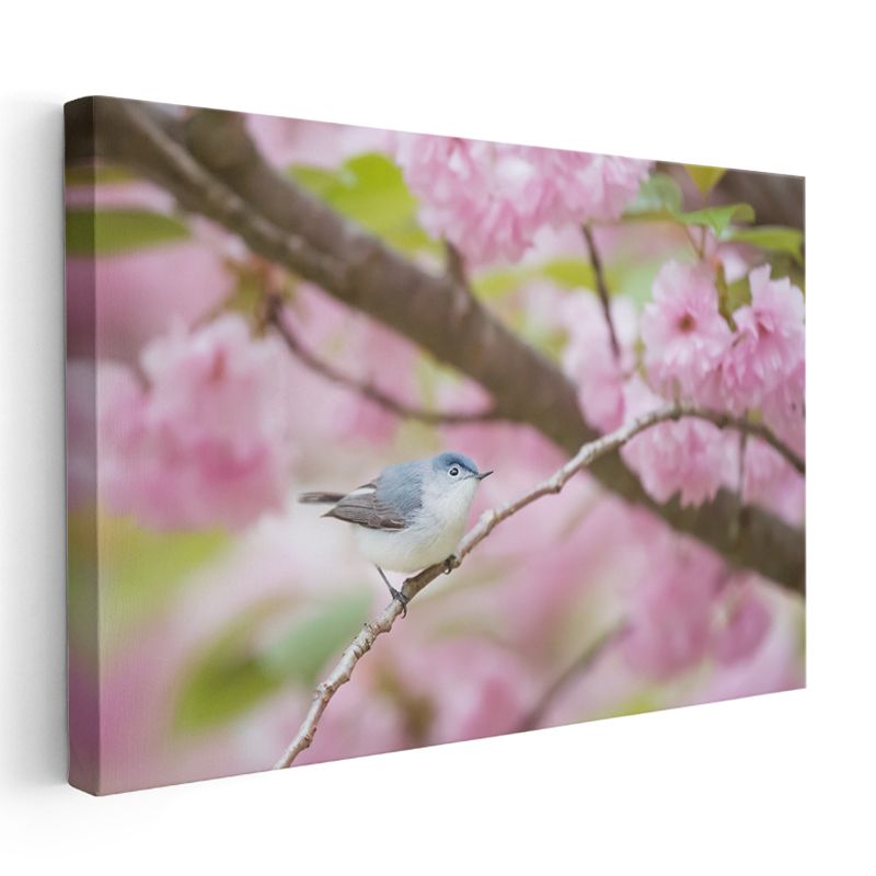 Kiraz Çiçeği - Bahar Dalında Mavi Kuş Kanvas Tablo