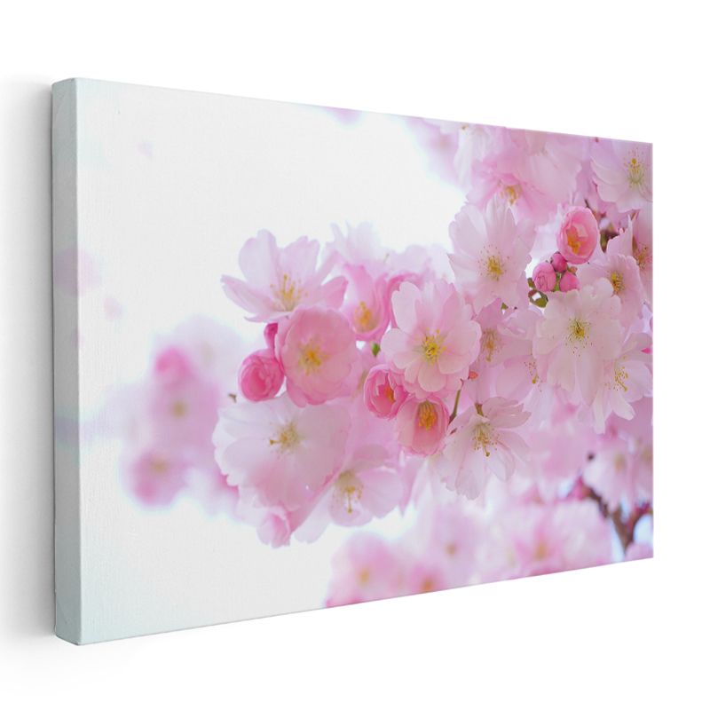 Japon Kiraz Çiçekleri - Işıltılı Pembe Bahar Dalları Kanvas Tablo