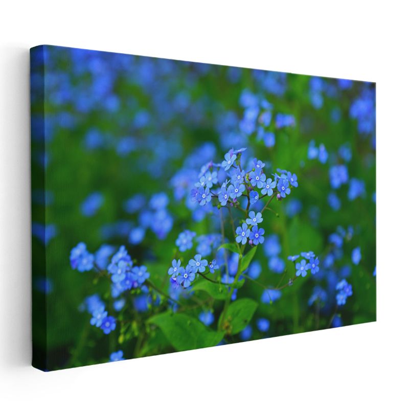 Mavi Unutma Beni - Yeşillikler Arasında Zarif Çiçekler Kanvas Tablo