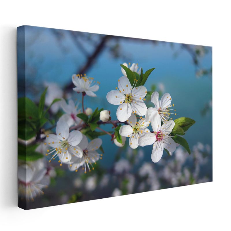 Japon Kiraz Çiçekleri - Yoğun Pembe Çiçekli Dal Kanvas Tablo