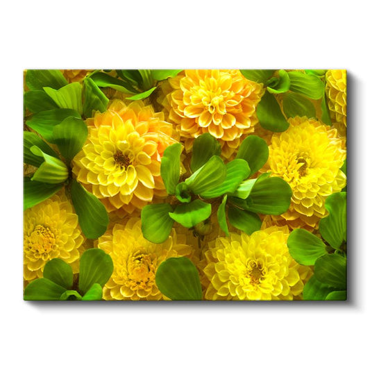 Sarı Yıldız Çiçekleri - Yeşil Yapraklarla Canlı Kompozisyon Kanvas Tablo