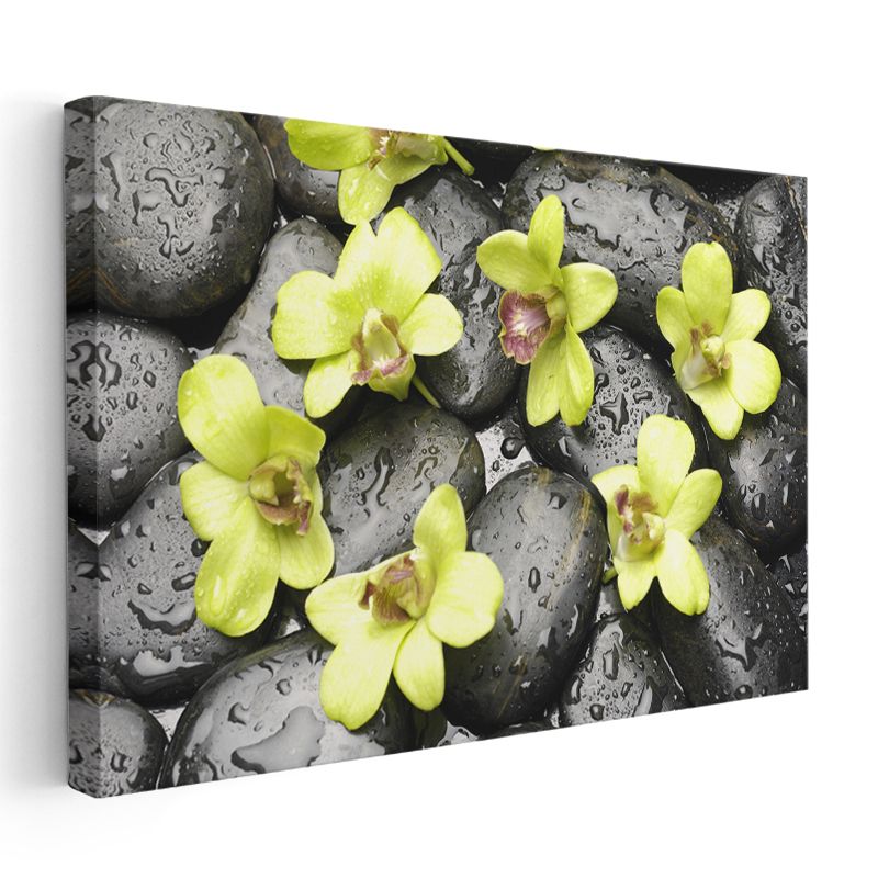 Yeşil Orkideler - Siyah Taşlar Üzerinde Zen Tasarımı Kanvas Tablo