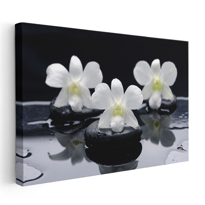 Plumeria Çiçeği - Spa Konseptli Aromaterapi Kanvas Tablo