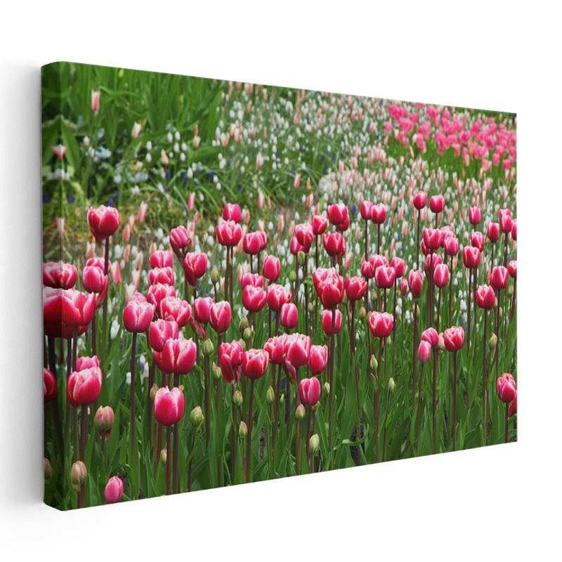 Pembe Laleler - Bahar Bahçesi Manzarası Kanvas Tablo