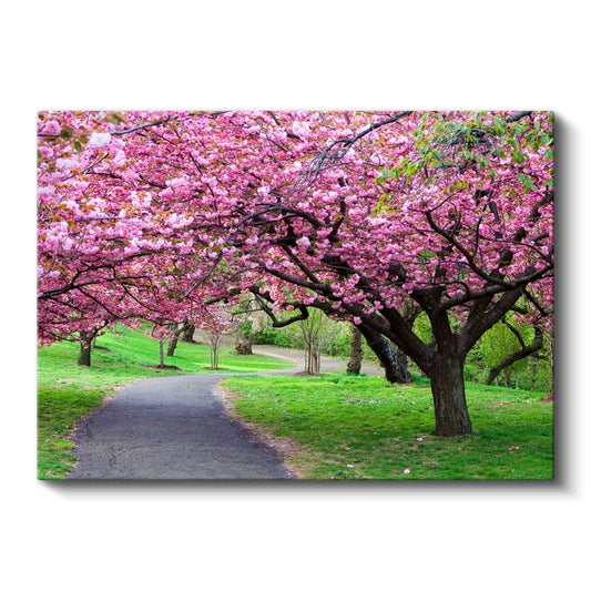 Kiraz Çiçeği Ağaçları - Bahar Parkı Manzarası Kanvas Tablo