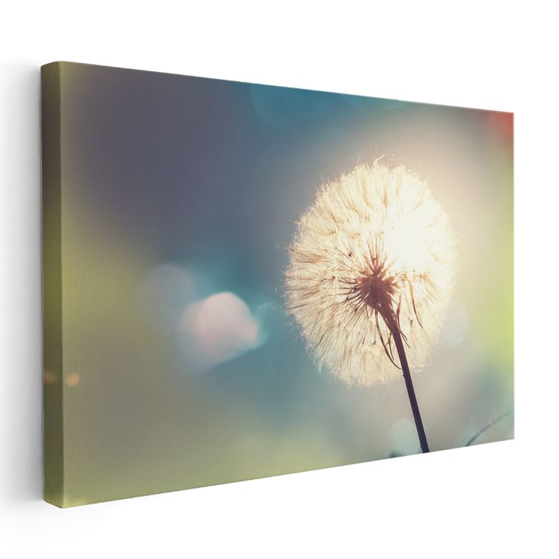 Karahindiba - Gün Batımında Silüet Kanvas Tablo