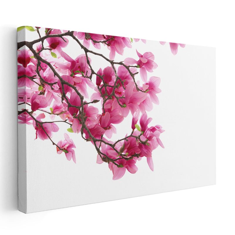 Manolya Dalı - Beyaz Fonda Pembe Çiçekler Kanvas Tablo